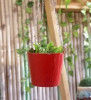 Hanging Garden Planters(#1657)-thumb-4