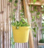 Hanging Garden Planters(#1657)-thumb-6