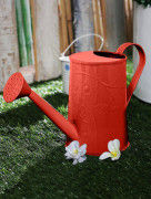 Flower Embossed Metal Watering Can - Gardening Tool(#1684) - Getkraft.com