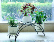 Metal Arch Plant Pot Rack Organizer Flower Pot Stand with Holder(#1740) - Getkraft.com