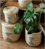 Sabai GrassSea grass planter(#2074) - Getkraft.com