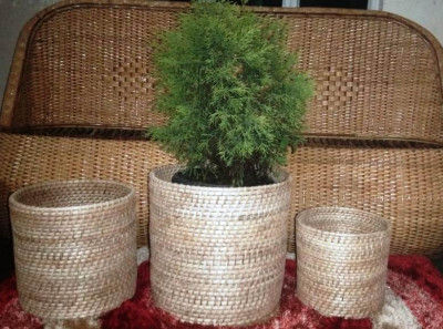 Cane Round Planter Set of 3(#2292)-gallery-0