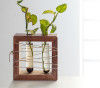 Apaiser Mango Wood Succulent Holder with 2 Test tubes(#2311)-thumb-0