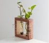 Apaiser Mango Wood Succulent Holder with 2 Test tubes(#2311)-thumb-1