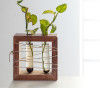 Apaiser Mango Wood Succulent Holder with 2 Test tubes(#2311) - Getkraft.com