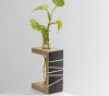 Prakriti Mango Wood Succulent Holder with 1 Test tube(#2312)-thumb-0