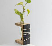 Prakriti Mango Wood Succulent Holder with 1 Test tube(#2312) - Getkraft.com