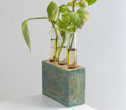 Kashtham Hand Painted Mango Wood Succulent Holder with3 Test Tubes(#2313) - Getkraft.com