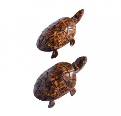 Wooden Tortoise(small)(#255)-gallery-0