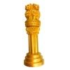 Ashoka Pillar(#2812)-thumb-0