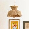 High quality rattan pendant lampshade(#2908) - Getkraft.com