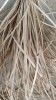 Natural Rattan Peel - Weaving Material - Indian Quality - 2mm to 2.5mm(#3093) - Getkraft.com