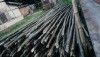 Raw Bamboo Poles Stock Bullet Deluxe and Super available(#3102)-thumb-4