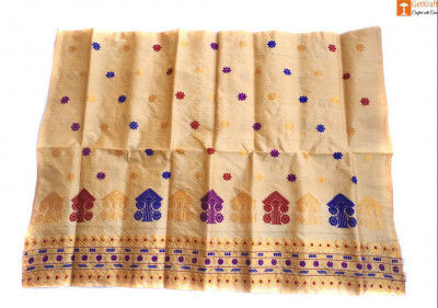 Simple Ethnic Mekhela made from Toss Muga Silk(#683)-gallery-0