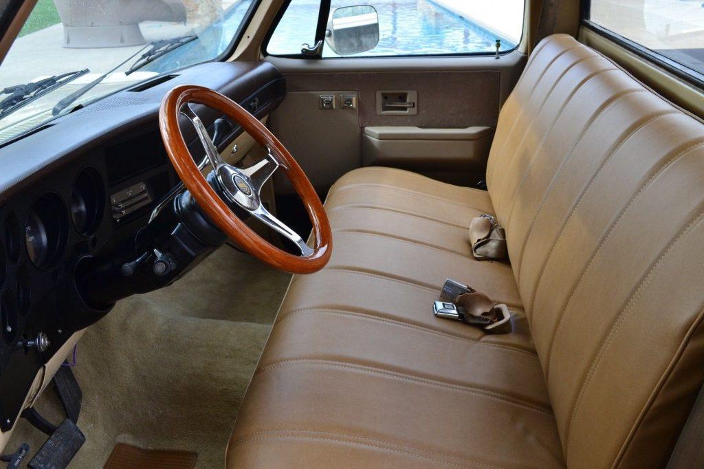 nice patina 1984 Chevrolet C 10 Dropped custom