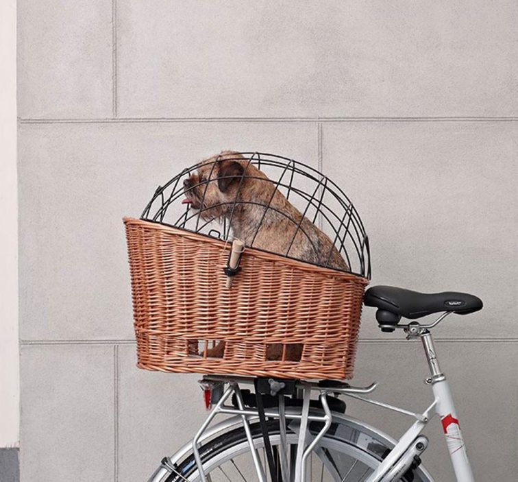 Spanning versieren Gorgelen Basil: Pasja Large Dog Basket – Action Bicycle Club