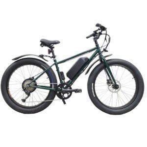 eZee E-Rex Fat Electric Bike