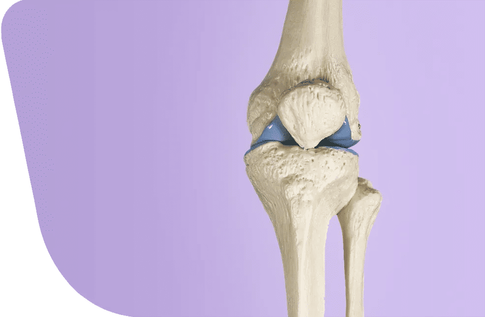 Arthroscopie du genou