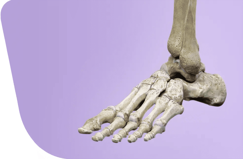 Ankle Arthroscopy