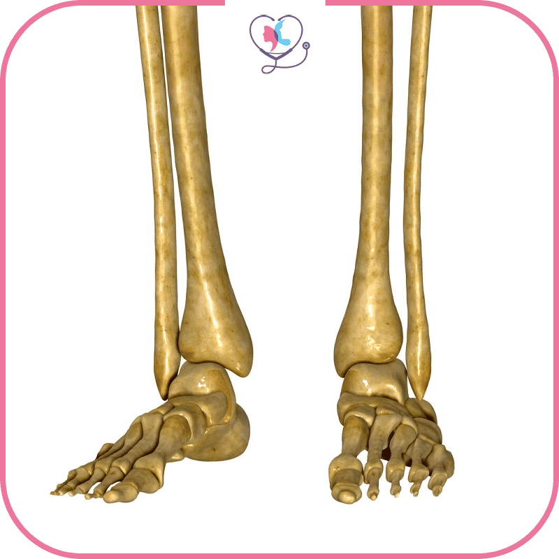 المرشحون لعملية تطويل القامة