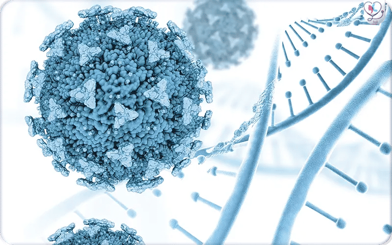 ما هي الخلايا الجذعية للشعر؟ ما هي الخلايا الجذعية للشعر؟