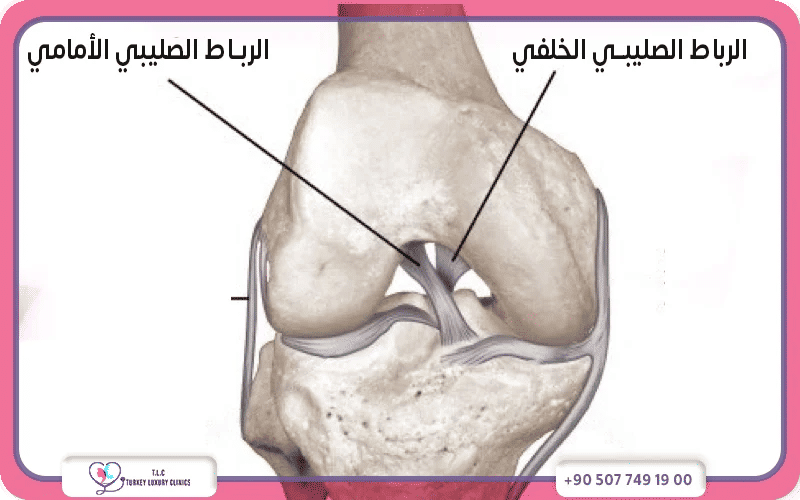 أنواع إصابة الرباط الصليبي