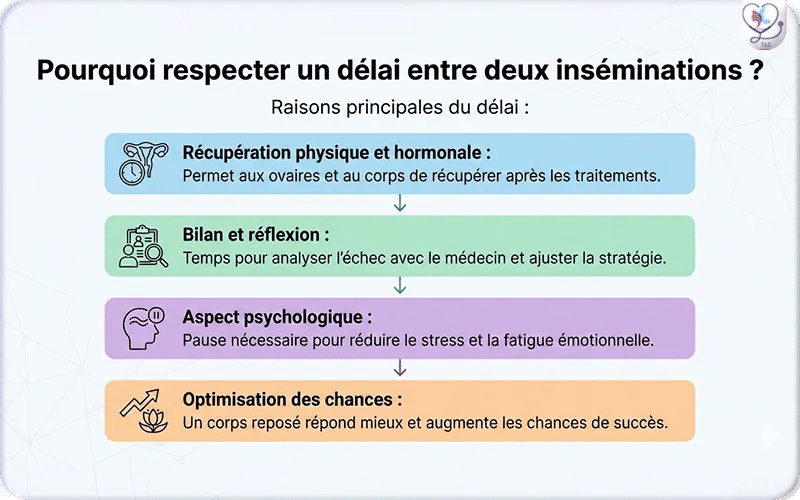 Pourquoi respecter un délai entre deux inséminations ?