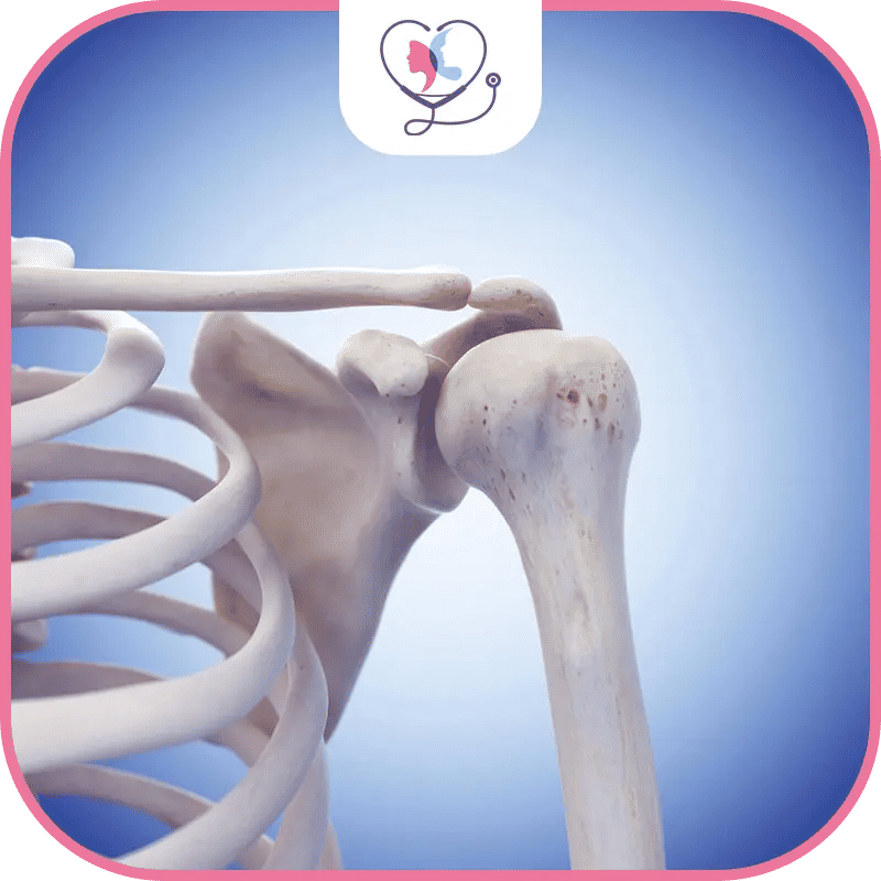 ماهو مفصل الكتف؟