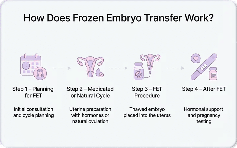 How Does Frozen Embryo Transfer Work?