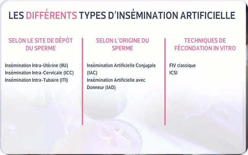 Les différents types d'insémination artificielle