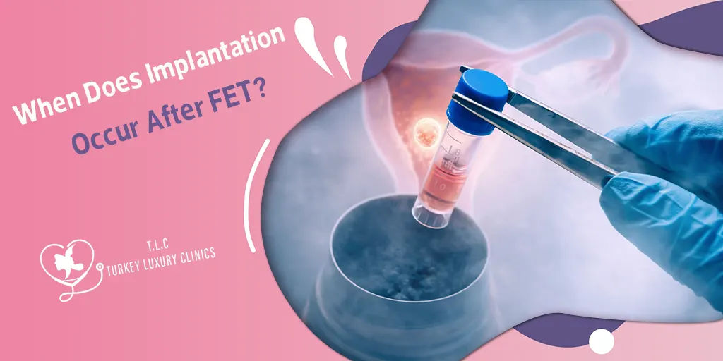 When Does Implantation Occur After FET? Timeline, Expectations, and Results