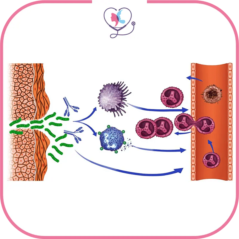 فترة التعافي بعد تجربتي مع زراعة نخاع العظم