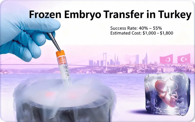 Frozen Embryo Transfer in Turkey