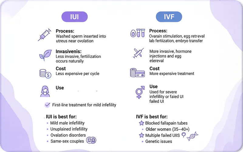 Key Differences Between IUI vs IVF