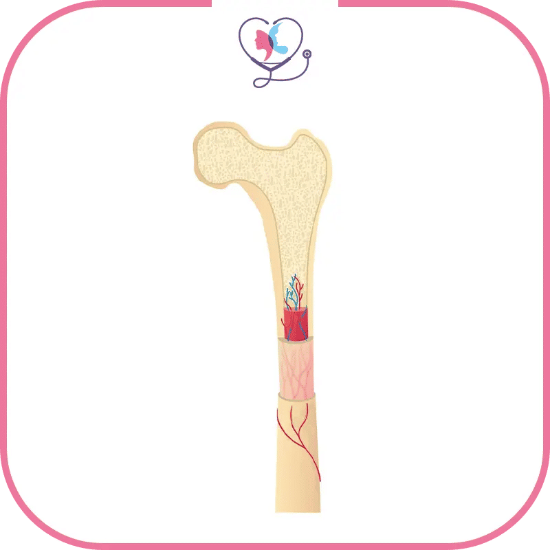 التعافي بعد زراعة نخاع العظم