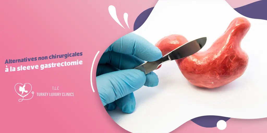Alternatives non chirurgicales à la sleeve gastrectomie