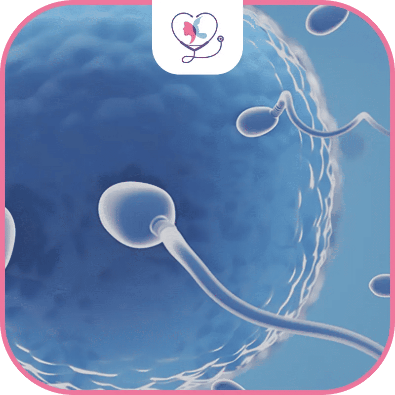  الحقن المجهري في تركيا