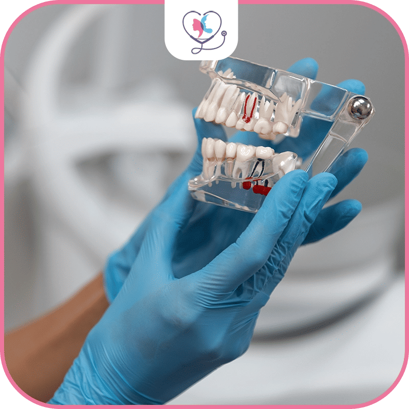 phase-de-préparation-du-plan-de-traitement