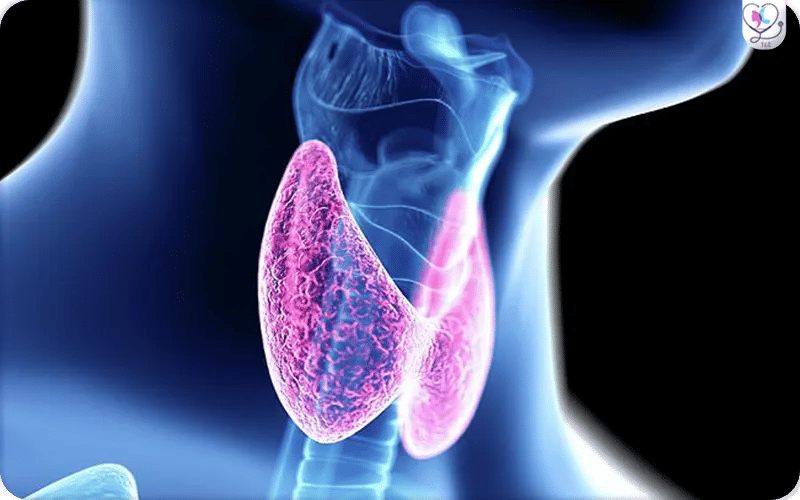 العلاقة بين أعراض الغدة الدرقية عند الرجال وهرمون التستوستيرون 