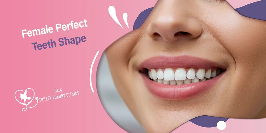Forma Perfecta de Dientes Femeninos: Sonrisa Más Atractiva