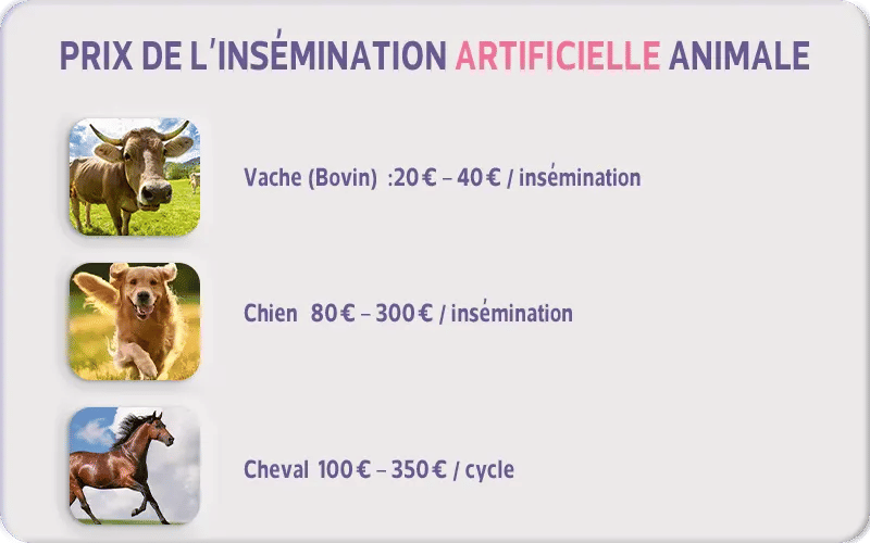 Prix de l’insémination artificielle animale