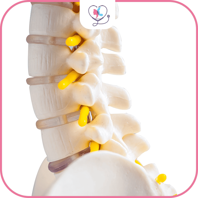 جراحة العمود الفقري بالمنظار