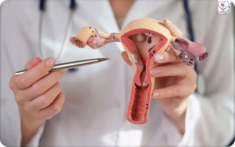 Durée parcours PMA couple hétérosexuel