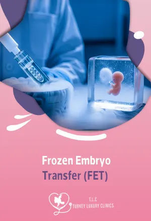 Gefrorener Embryotransfer (FET): Ablauf, Erfolgsquoten & Türkei