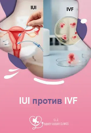  IUI против IVF: Ключевые различия, Уровни успеха, Стоимость и Что лучше