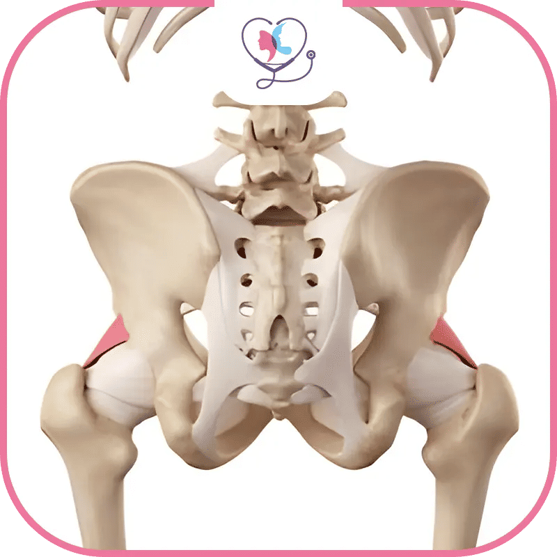 خطوات استبدال مفصل الورك