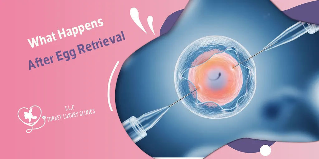 Nach der Eizellentnahme: Erholung, Symptome & IVF-Schritte