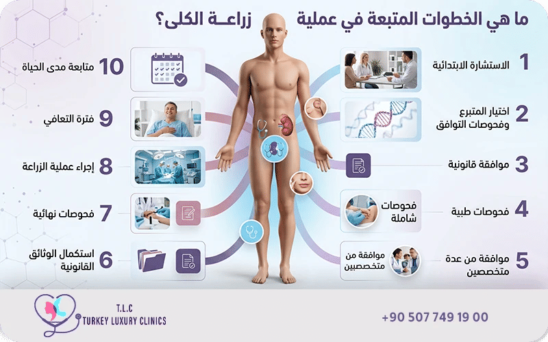 خطوات عملية زراعة الكلى