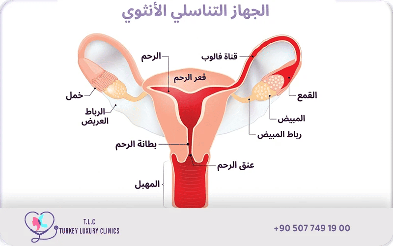  اضطرابات الدورة الشهرية