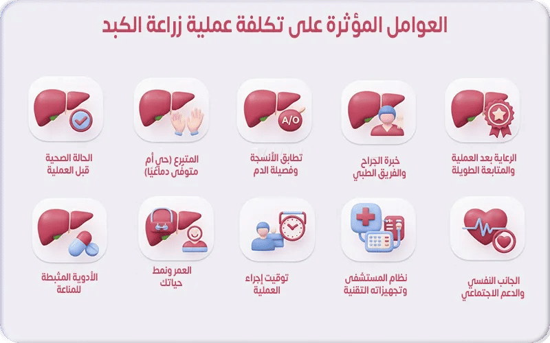 العوامل المؤثرة على تكلفة عملية زراعة الكبد